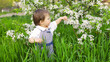 © YouraPechkin - A cute child in a blue overalls and blue eyes plays funny in the tall green grass in a green blooming park