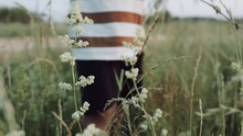 A boy picks wildflowers. Grass in the meadow. A child collects a bouquet of flowers on the field. The grass sways in the wind. Sunset. Close up