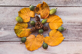Fototapeta Sypialnia - Leaf mandala with fall colors and foliage