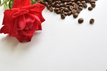 Coffee Beans And Red Rose