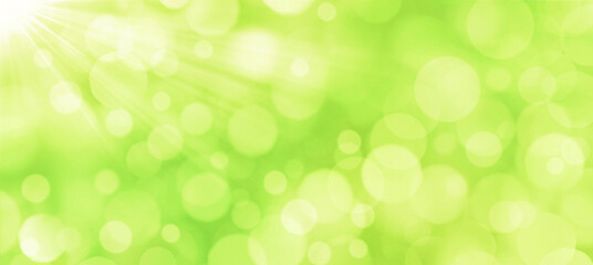 Wall Mural - abstract green blurred lights banner background