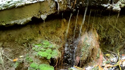 Sticker - A closeup view of water spilling over an edge of ground covered with moss in HD