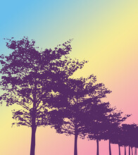 Abstract Illustration With Purple Trees Decoration At Sunrise On Pastel Blue, Yellow And Pink Background