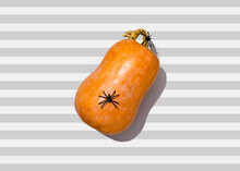 Studio Shot Of Spider Sitting On Top Of Raw Pumpkin Lying Against Striped Background