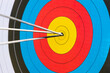 © Julio Rodriguez/Westend61 - Arrows in bull's eye