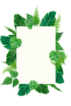 Green Tropical Square Green   Leaves Frame Template, Selective Focus