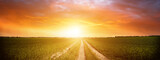 Fototapeta  - Panorama of green field with dirt road and sunset sky. Summer rural landscape sunrise