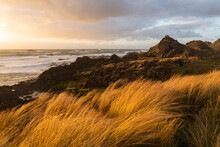 Rocks Aged Up To 1.5 Billion Years On The Takayna Tarkine Coast, Tasmania, Australia.