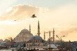 © A. Tamboly/Westend61 - Turkey, Istanbul, Seagull flying over Yeni Cami mosque at dusk