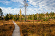 © Maria Maar/Westend61 - Footpath amidst plants and tress at Murnauer Moos, Bavaria, Germany during sunny day