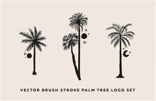 Trendy Vector Brush Stroke Palm Tree Logo Set