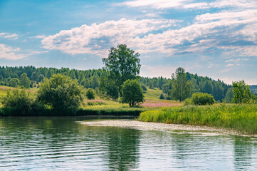 Wall Mural - Summer panoramic landscape with wildflowers and trees on a wide meadow, a winding river and a forest in the distance, clouds in the blue sky.