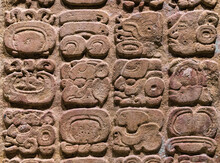 Mayan Alphabet. Close Up Of Hieroglyph Or Glyph Writing System Found In Copan (Honduras), Tikal (Guatemala) And Chichen Itza, Palenque, Uxmal, Yaxchilan, Bonampak (Mexico).