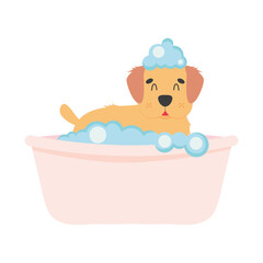 Wall Mural - cute cocker spaniel in bathtub