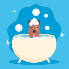 Wall Mural - cute dog bath