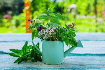 Wall Mural - Fresh herbs in a small watering can on a wooden table.