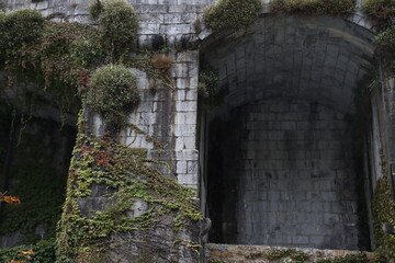 Wall Mural - Old stone house with ivy