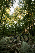 Dramatic Photo Of The Bike Standing At The Meadow Full Of Ferns. Concept Of Extreme Biking Adventures In The Forest