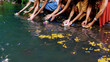  Hands of girls let flowers in the water