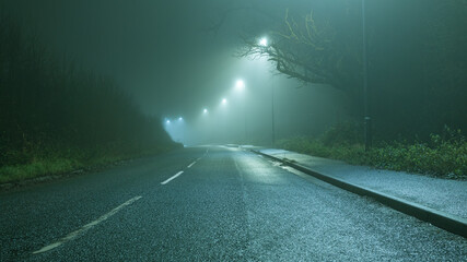 Wall Mural - An empty road going into the distance, with street lights on a moody foggy winters night