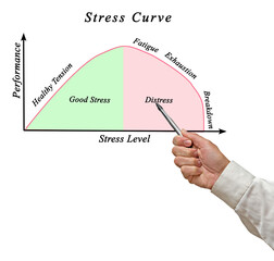 Canvas Print - Graph of performance and stress