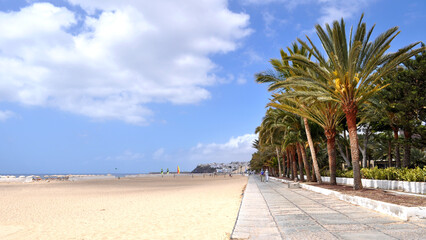 Wall Mural - The huge beach and the promenade with palm trees and tropical greenery in Morro Jable, Fuerteventura, Canary islands, Spain