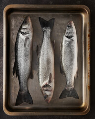 Three whole seabass in rectangular metal tray graphic isolated