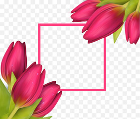 Wall Mural - Bright spring summer pink tulip flowers frame.