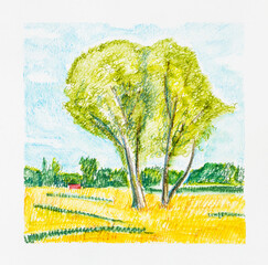 Sticker - sketch of summer landscape with trees by pencil