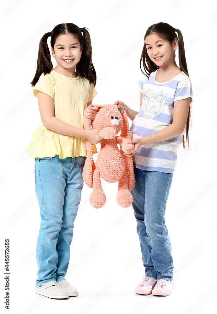 Cute Asian sisters with toy on white background