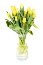 Bouquet Of Yellow Tulips In Glass Vase Isolated