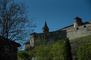 Wall Mural - castle in the evening