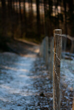 Closeup Shot Of A Wooden Pole On The Path In The Forest
