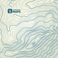 Wall Mural - the stylized height of the topographic map contour in lines and contours. the concept map of a condi