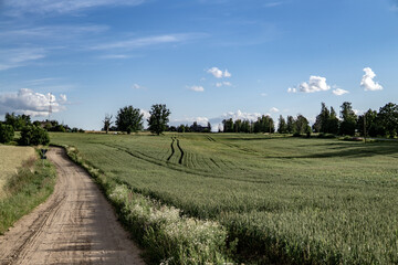 Sticker - Beautiful landscape with a road leads to the fields under the blue sky