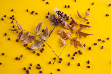 Wall Mural - Top view of dry leaves and a heap of roasted coffee beans on a yellow surface