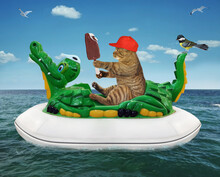 A Beige Cat In A Red Hat With Ice Cream Is Floating On An Inflatable Crocodile In The Sea At A Resort.