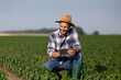 © Budimir Jevtic - Young male farmer crouching in vegetable field holding tablet monitoring pepper plant.