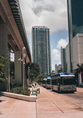 Wall Mural - downtown city Miami Florida bus building America  