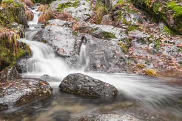 Poster - Closeup shot of babbling waterfall through mossy rocks