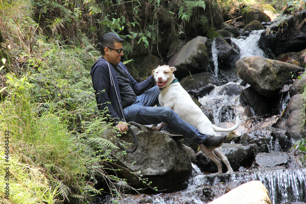Mature Latino man in the middle of the forest with his white pitbull ...