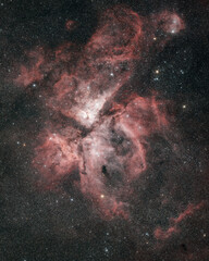 Wall Mural - the carina nebula (ngc3372) from christchurch, new zealand, july 2021.