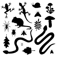 Wall Mural - Vector set bundle of hand drawn forest animal rodent reptiles and insects silhouette isolated on white background