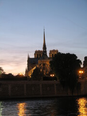 Canvas Print - notre dame cathedral at night