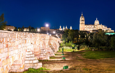 Wall Mural - The New Cathedral and the Roman bridge in Salamanca, Spain