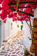 Romantic traditional alleyways of Greek island towns. Whitewashed walls, colorful doors, pink bougainvillea, cobblestone streets. Mykonos, Greece