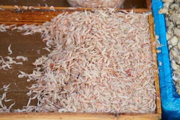 Wall Mural - Salted Shrimp in a Traditional Market