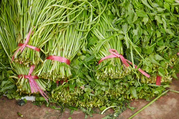 Sticker - Water parsley displayed in a traditional market