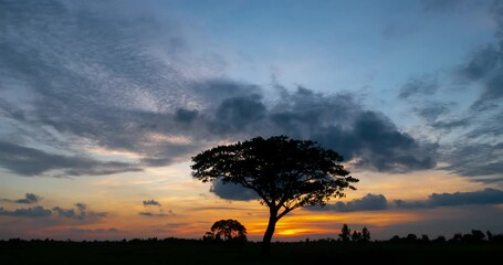 Wall Mural - time lapse dramatic golden light sunset. silhouetted trees against bonfire-red and sunflame-golden s