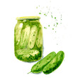 Jar of pickles, garlic, cucumber. Hand drawn watercolor illustration on white background.